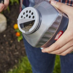 What Do Groundhogs Eat In Gardens - Read Expert Tips Here