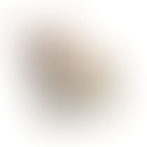 Hoont Powerful Electronic Dogs Rodent and Pest Repeller