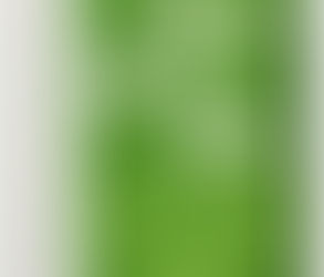 Hoont Cobra Powerful Outdoor Water Jet Blaster Animal Repeller