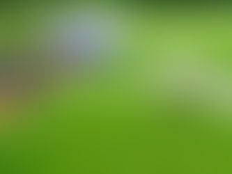 Electronic Mole Repeller