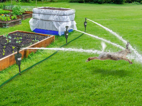 Electronic Mole Repeller