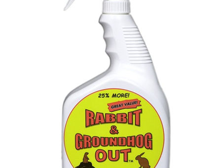 Hoont Powerful Electronic flashing LED