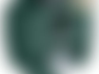 How To Keep Groundhogs Out Of My Garden - Read Expert Tips Here