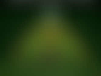 Havahart Critter Ridder chipmunks Animal Repellent