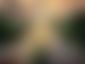 Estimaciones para el costo de enviar un coche a los Filipinos