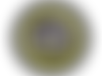 10 Best Dog Food Brands for Your Dog