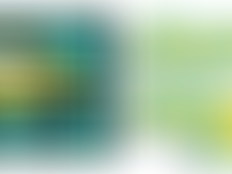 Open Car Transport Service: What You Need to Know Before Shipping Your Vehicle