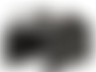 Reasons Solar Powered Pest Control and Animal Repellent Is Best Way To Repel Ground Hog