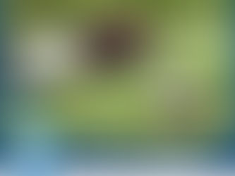 Outdoor Rodent Repellent - Read Expert Tips Here