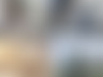 Seicosy Live Mouse Trap - More Small Rodents - Groundhog Repellent