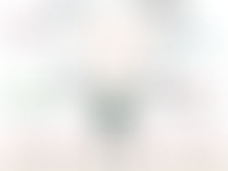 Groundhog Effective on woodchucks