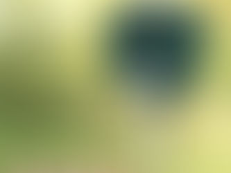 Hoont Advanced Solar Powered Ultrasonic Outdoor Animal and Pest Repeller Deers Moles