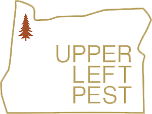 Pest Control in Gresham Oregon: Why You Should Get Your Home Pest-Free