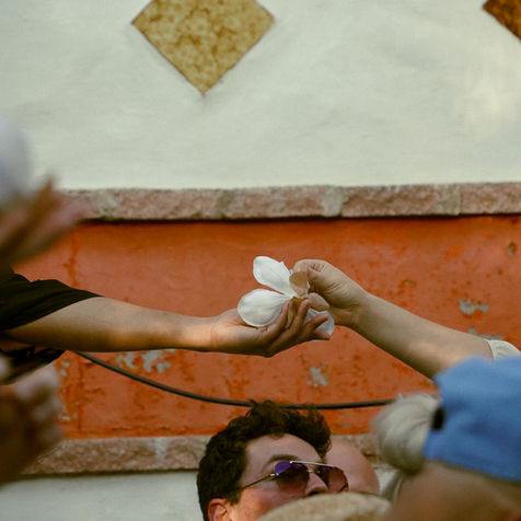 Copy of DSC06737.jpg