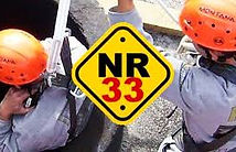 NR 33