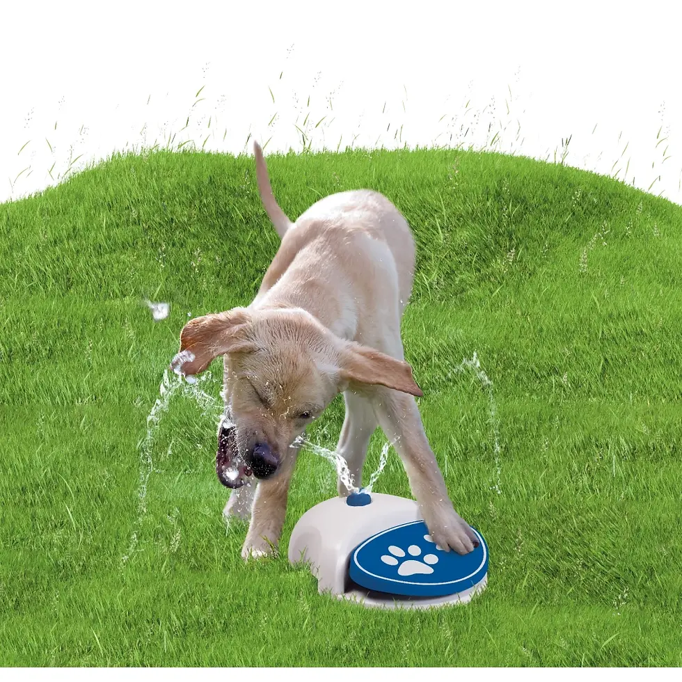 Thumbnail: CoolPets Splash Water Fountain
