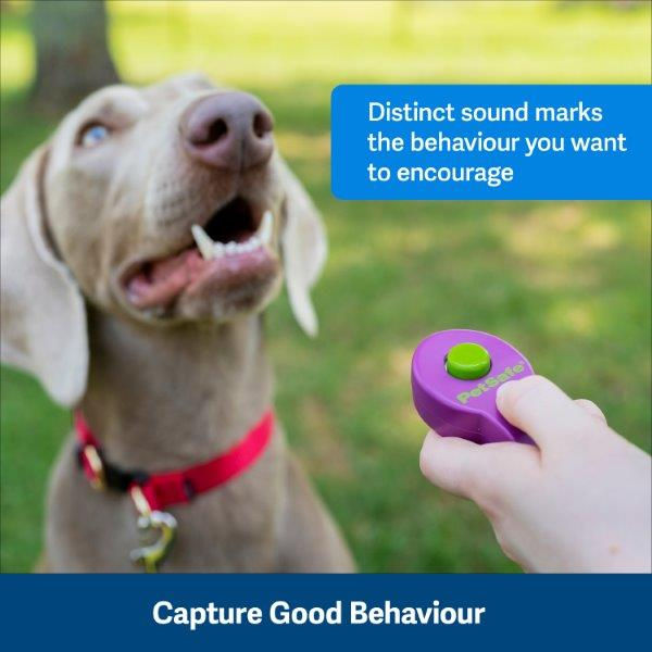 Thumbnail: Petsafe Clik-R Training Tool