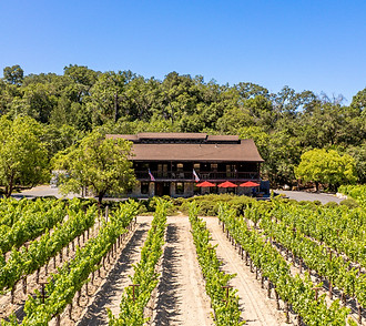 WH VINEYARD.jpg