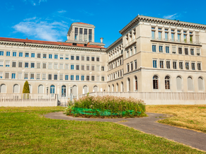 WTO Announces “Moderate Trade Growth” in 4th Quarter 2024