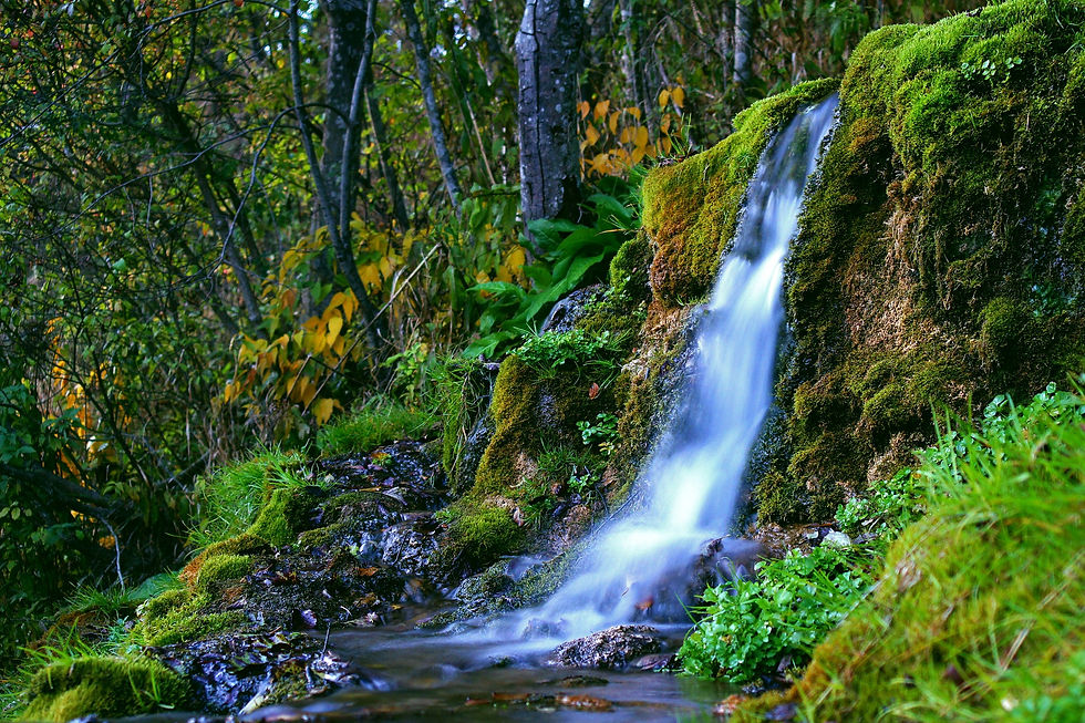 Quanta acqua bere al giorno