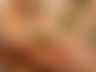 Sono a dieta, posso mangiare la pizza?