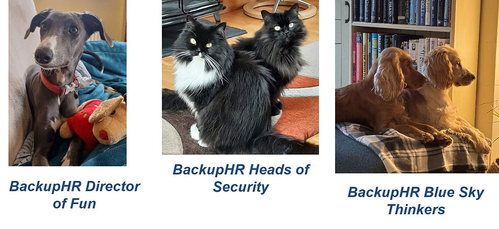 Bring Your Pet to Work Day – A Paw-sitive Opportunity (With a Few Things to Consider)