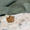 Küçük resim: Bebek Müslin Örtü Takımı 110x150 Animal_Iceberg Green