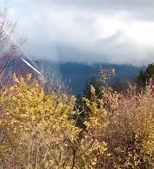 autumnwindow_edited.jpg