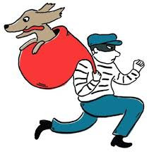 Dognapping advice