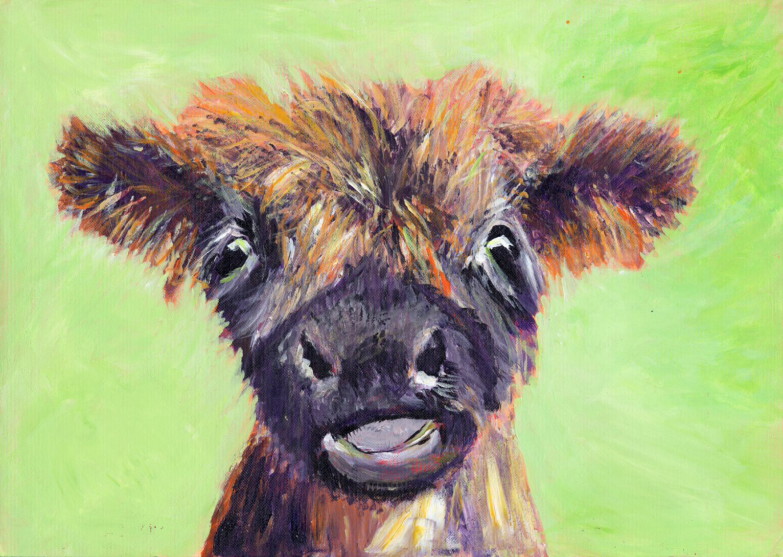 Stroppy Coo