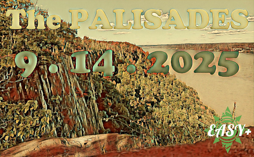 The Palisades