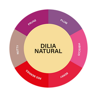 DILIA NATURAL (2).png