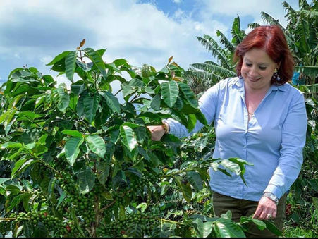 Bourbon Rosado: La herencia que Florece