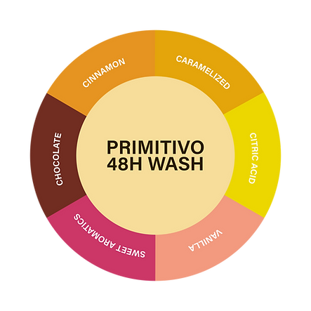 PRIMITIVO 48H WASH INGLÉS (1).png
