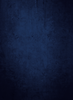 Layer 0.png