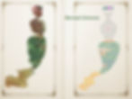 Book Pages 1.jpg