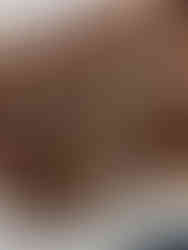 BBQ Bacon and Fig Crostini