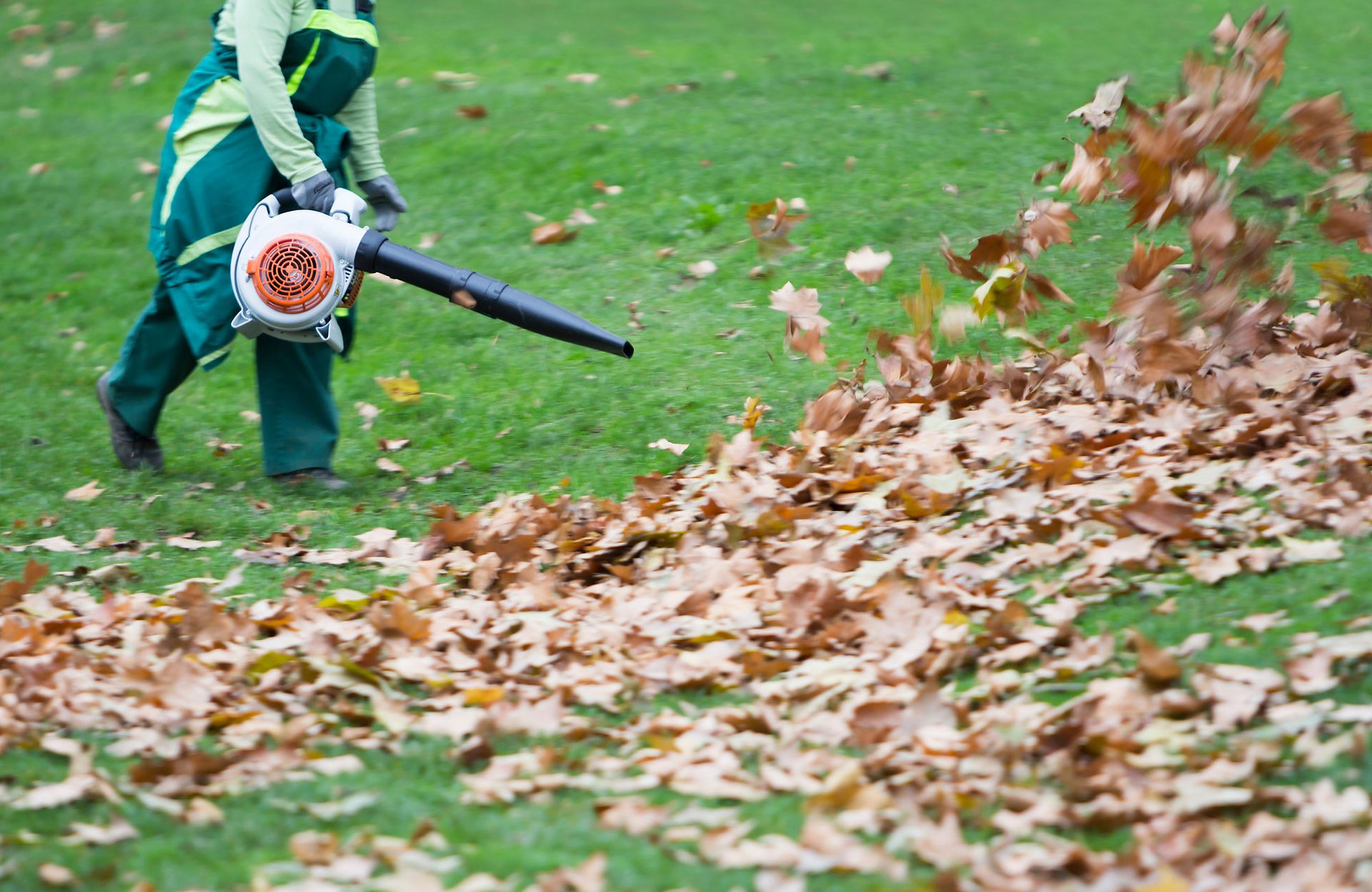 Fall Leaf Removal near me, Knoxville Leaf Removal, Leaf Service Knoxville TN, Leaf Removal Knoxville TN, fall leaf removal tips