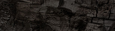 FONSIES-charred.jpg