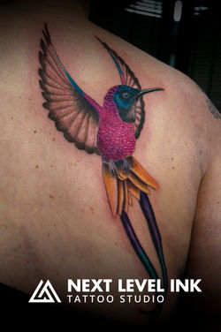 colorful bird