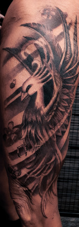 Leg sleeve tattoo, paradise bird tattoo, tattoo design, black and gray tattoo