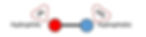 Diagram of a soap molecule