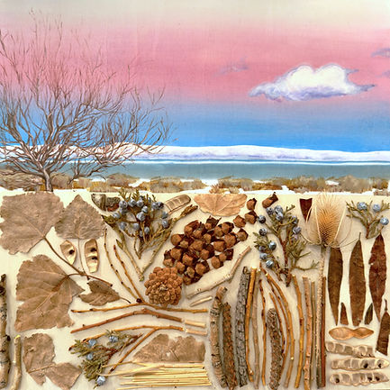 Frozen Playa.jpg