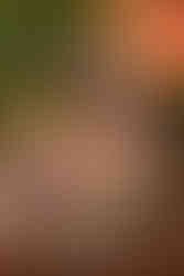 Blumenarrangement, Margeriten, Glasfüllung, Blumenherz, Kräuter, Hauswurz, Lavendel, Saisonblumen, Combo, Arrangement, Rosen, Hortensien, Pflanzen, Geschenk, Muttertag, DreamPlant, Floristik, Blumenstrauss, Überraschung, Selbstbedienung, Blumenladen Zürich