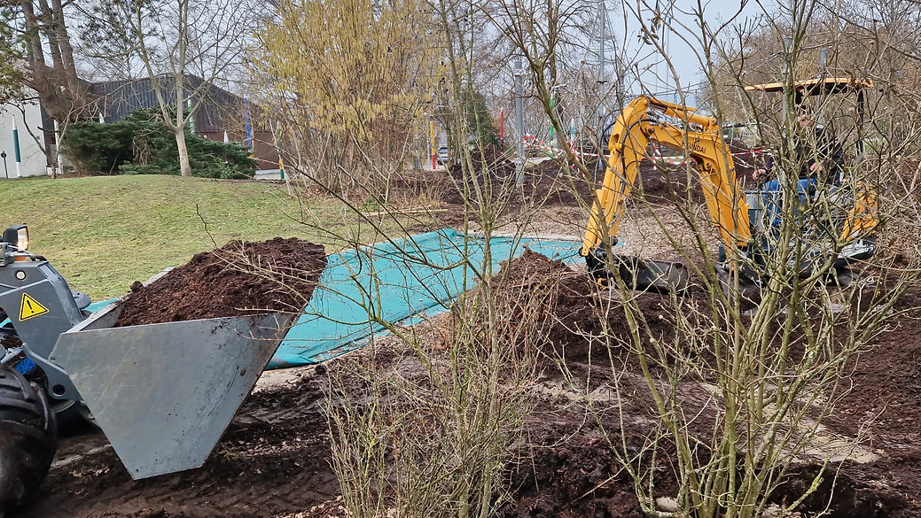 12  Gartenbau, Bagger, Aussenbegrünung, Dreamplant.jpeg