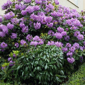 DreamPlant: Dem Klimawandel klug begegnen
