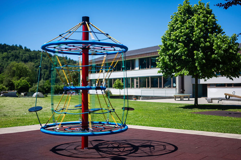 Netzkarussell auf dem Schulareal Oberembrach