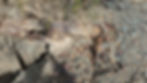 Thumbnail: Gold Country #2