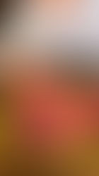 Ossobuco alla Senese cotto lentamente con sugo al  pomodoro.