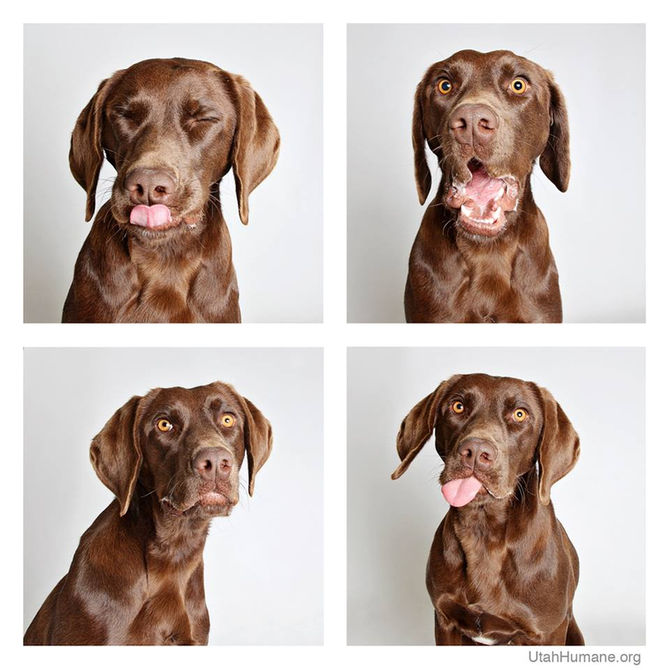 Why personality makes the picture and how that can help your business